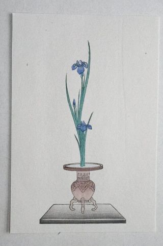 Iris : Japanese Woodblock Print Art Ikebana Flower Arrangement