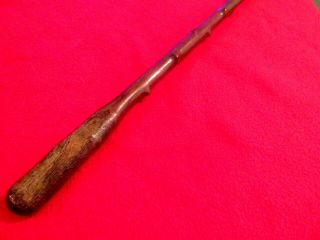 19th Century Antique Hand Carved Knobbly Thorn Wood Walking Cane