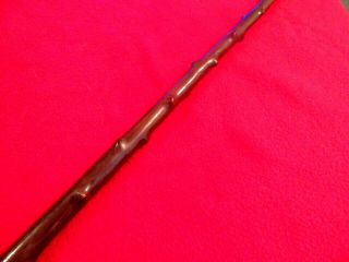19TH CENTURY ANTIQUE HAND CARVED KNOBBLY THORN WOOD WALKING CANE 2