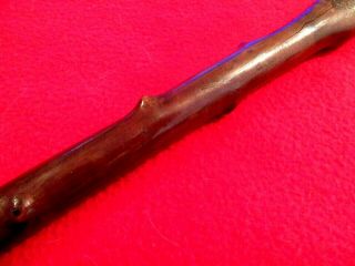 19TH CENTURY ANTIQUE HAND CARVED KNOBBLY THORN WOOD WALKING CANE 5