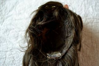 ANTIQUE DARK BRUNETTE FRENCH STYLED DOLL WIG WITH MILLINERY FLOWERS SIZE 8 4