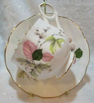 Vintage Royal Dover Fine Bone China Tea Cup & Saucer Pussy - Willow Acorn England