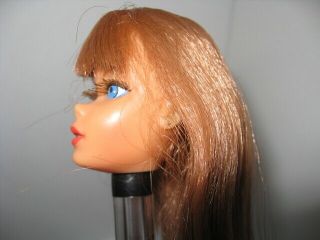 Vintage Mod - Near - Titian Dramatic Living Barbie Doll Head Only 5