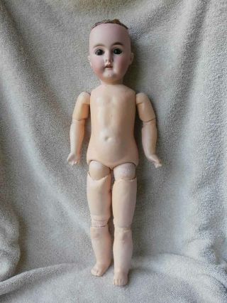 Antique Bisque Head Doll 16 1/2 " Composition Jointed Body Looks German