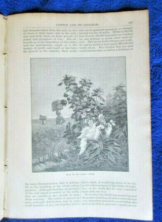 1881 Cotton in US South w multiple Af - Am illus,  article Telegraph both antique 5