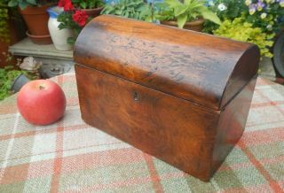 Antique 19th C.  Walnut Tea Caddy With Domed Lid Two Interior Compartments & Lids