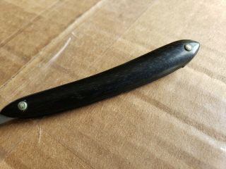 Antique Eastern Drug Co.  Boston Corn Razor Scalpel Knife German Made 4