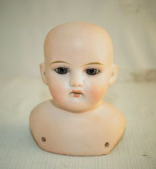 Antique German Bisque Doll Head 7.  5 " Dia Germany 9/0 Head Only