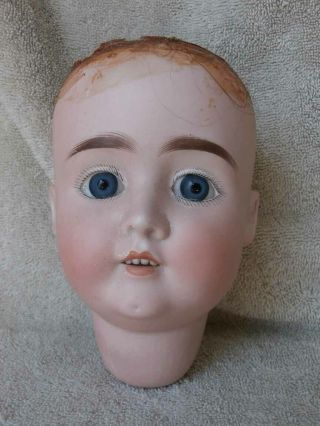 Antique German 63 Bisque Doll Head 12 " Circumference