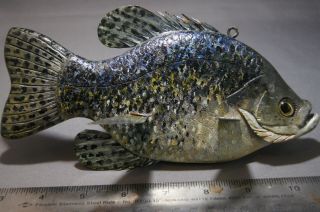 Beautifully Carved And Painted Black Crappie Fish Decoy By Mike Ott " Mo " 1997