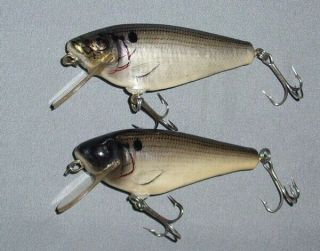 Bagley Small Fry Shad Lures Early Brass Hardware