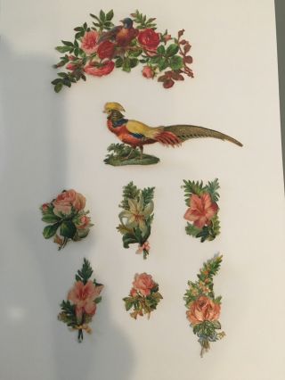 Antique Victorian Floral Bouquet & Bird Scraps Embossed Die Cut Circa 1850 