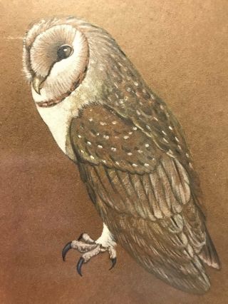 Vintage Barn Owl Bird Velvet Felt Painting Framed Matted Signed By Tom Butera