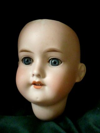 Antique German Armand Marseille Bisque 27cm.  Dolls Head