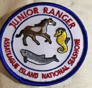 Assateague Island National Seashore Junior Ranger Embroidered Patch 3” Nps
