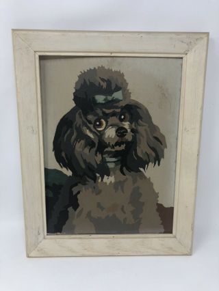 Vintage Mid Century Paint By Number Painting Poodle Dog Animal - 11 " X 14 "