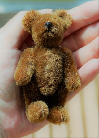 Sweet Old Little Brown Steiff Mohair Teddy Bear 3.  5 "