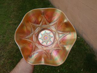 Antique Dugan Carnival Glass Peach Opal Ski Star Compass 11 " Bowl