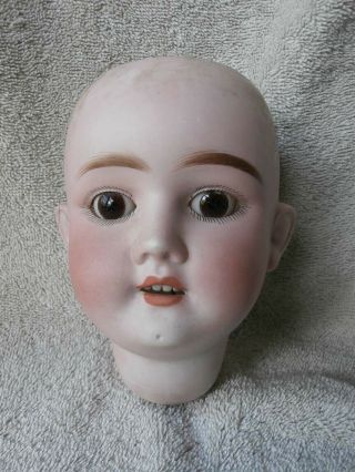 Antique Kley Hahn Special Bisque Doll Head 12 " Crcm