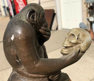 Vintage 1972 Austin Productions Bronze Plaster Darwin Chimp Ape Holding Skull 6