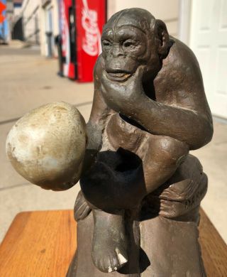 Vintage 1972 Austin Productions Bronze Plaster Darwin Chimp Ape Holding Skull 7