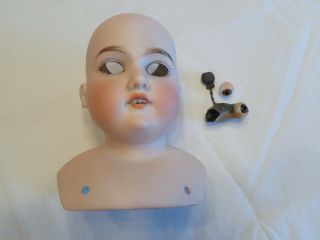 Antique Floradora A 9 1/2 M Shoulder Plate Bisque Doll Head Made In Germany