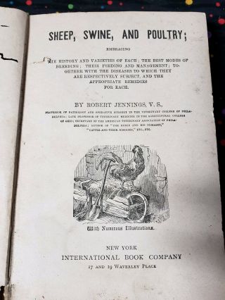 Sheep,  Swine,  And Poultry,  By Robert Jennings V.  S.  York Antique Book