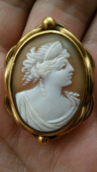 Antique Vintage Victorian Shell Cameo 