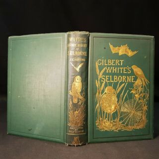 1888 NATURAL HISTORY Antiquities SELBORNE Vignettes STEEL ENGRAVINGS Gilbert 2