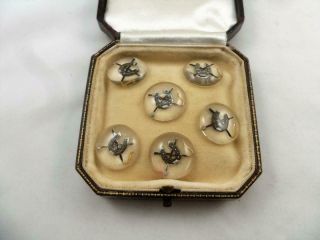 6 Antique Horse Racing Reverse Painted Essex Crystal Intaglio Buttons Jewellery