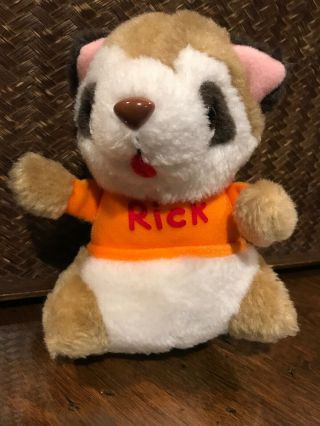 Rick Plush Raccoon Shirt Tales By Hallmark 1980 Vintage Plush Stuffed Animal
