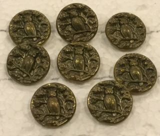 Set Of 8 Tint Brass Victorian Antique Owl Picture Button