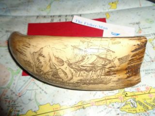 Whales Tooth Scrimshaw Scene Of U.  S.  Constitution Capturing Frigate Guerriere