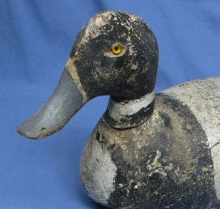 Primitive Antique Hand - Carved & Painted Duck Decoy Weighted w/Glass Eyes 4