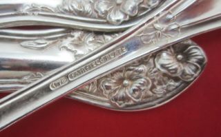 Set of 3 Antique 1913 Fairfield Plate ONE pattern Oval Soup Spoons Floral 4