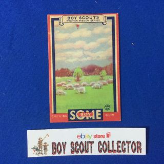 Boy Scout Some Boy Chewing Gum Card 13 Sheep Clouds