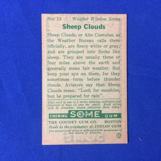 Boy Scout Some Boy Chewing Gum Card 13 Sheep Clouds 2