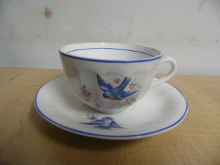 Vintage Antique Bluebird China Tea Cup And Saucer Estate Find