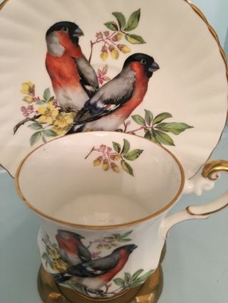 Rosina Antique Fine Bone China 3” Cup & 6” Saucer & Gold Stand,  Made In England