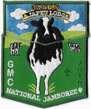 2010 National Boy Scouts Jamboree Ajapeu Lodge 33 Bucks County Council Grn