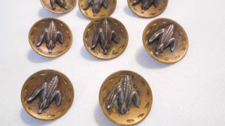 Thirteen Corn On The Cob Vintage Antique Brass Metal Buttons Fun (ahb