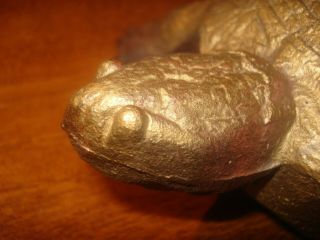 Lifesize Antique Cast Iron Snapping Turtle.  7 " × 7 " × 5 ".  Wow.  Look