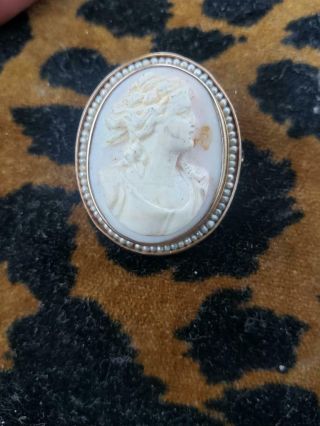 Antique 10k Gold Angel Skin Coral Cameo Seed Pearl Pin