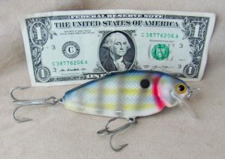 Saltwater Pinfish Lure,  Sturdy Thru - Wire Rig 3 - D Eyes,  4 " Resin Lure