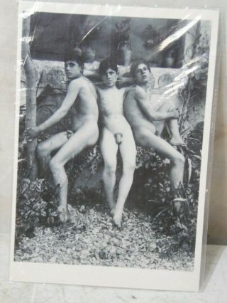 Vtg 1993 Wilhelm Von Gloeden Photograph Post Card Santa Fe Male Nudes C.  1900