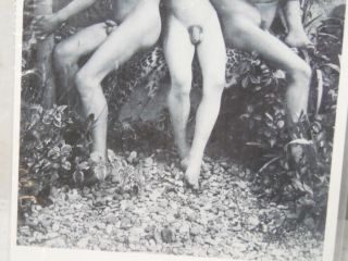 VTG 1993 Wilhelm Von Gloeden Photograph Post Card Santa Fe Male Nudes C.  1900 3