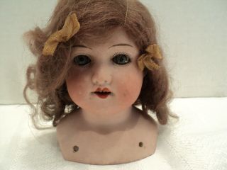 Armand Marseille 370 Bisque Doll Head & Shoulders W/teeth & Sleepy Eyes - Germany