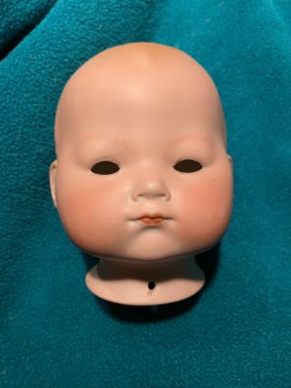 Antique Baby Head And Body