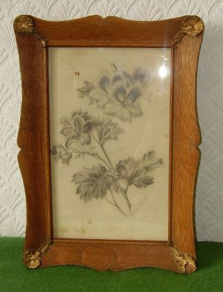 Antique Pencil Drawing Flowers Botanical Signed Dumont Circa 1854