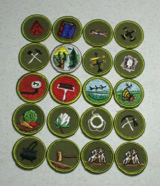 20 Bsa Boy Scout Merit Badges - 19 Different Ones (set D)